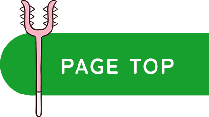 ページTOPへ