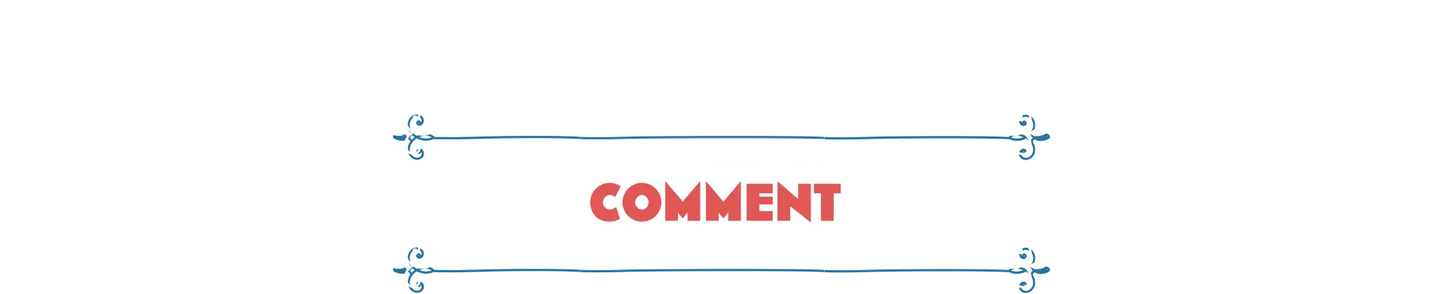 COMMENT